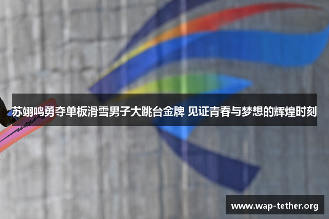 苏翊鸣勇夺单板滑雪男子大跳台金牌 见证青春与梦想的辉煌时刻
