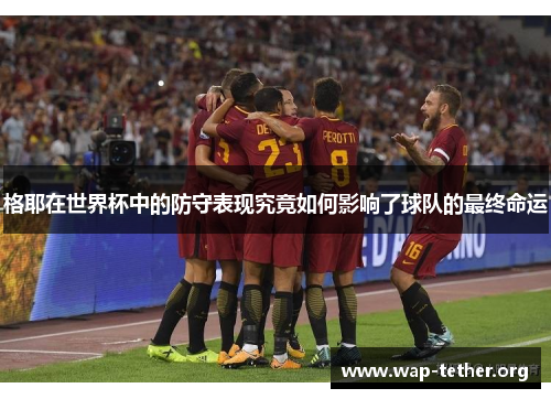 格耶在世界杯中的防守表现究竟如何影响了球队的最终命运